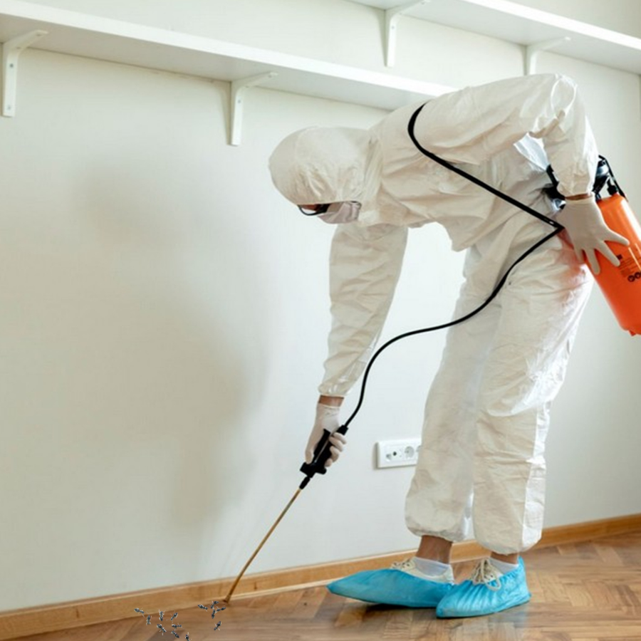 Safe Best Pest Control Team